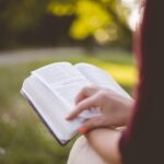 book, college, education-2178586.jpg